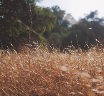 皇家马德里客场取胜西班牙人