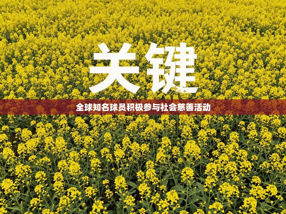 全球知名球员积极参与社会慈善活动  第2张