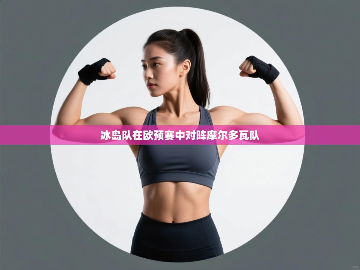 冰岛队在欧预赛中对阵摩尔多瓦队  第1张