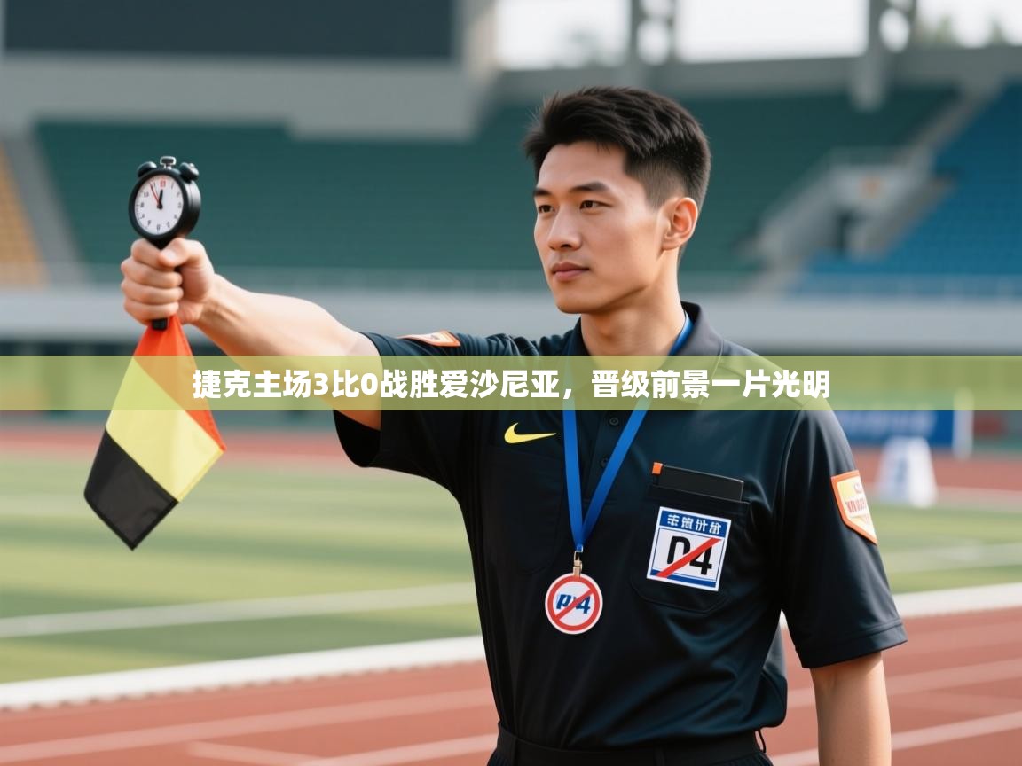 捷克主场3比0战胜爱沙尼亚，晋级前景一片光明  第1张