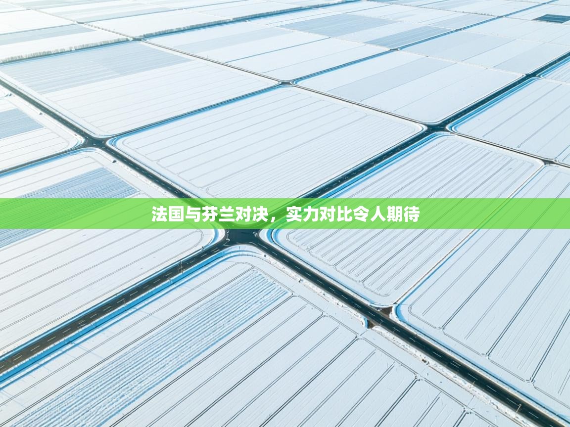 法国与芬兰对决，实力对比令人期待