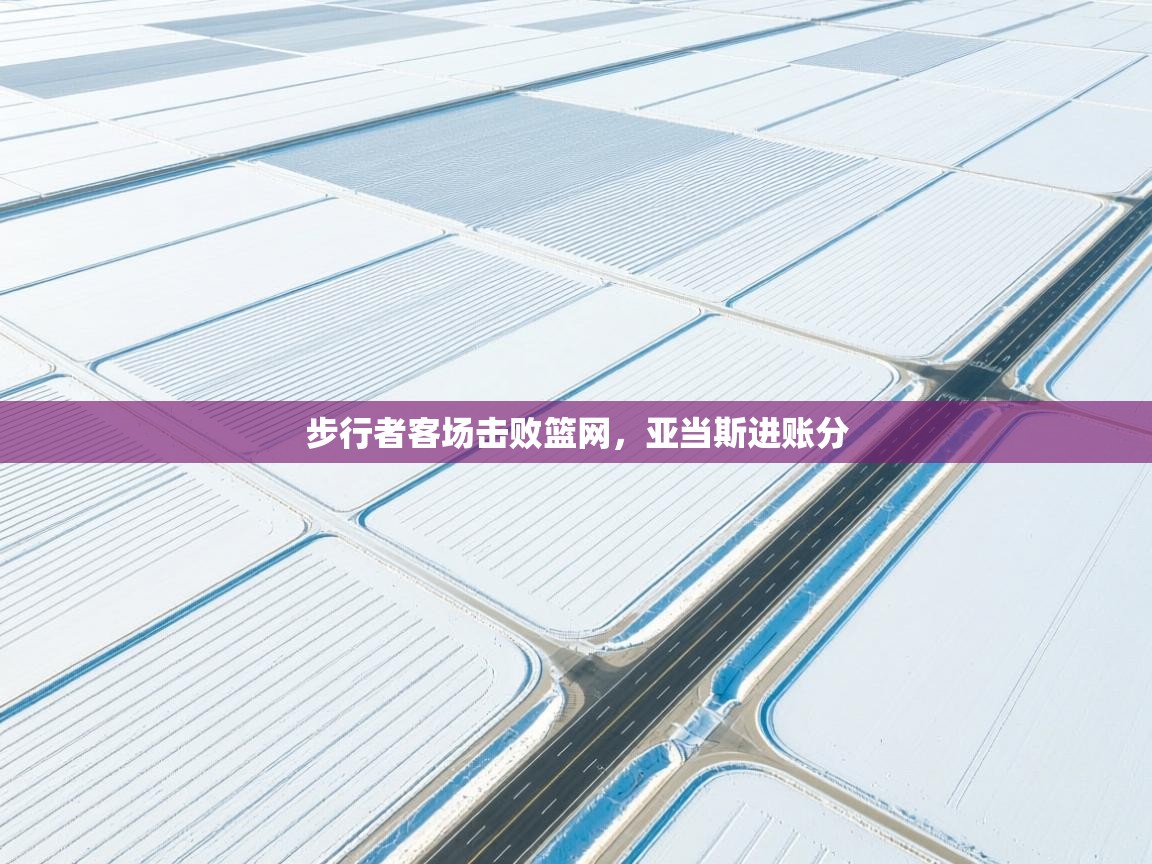 步行者客场击败篮网，亚当斯进账分